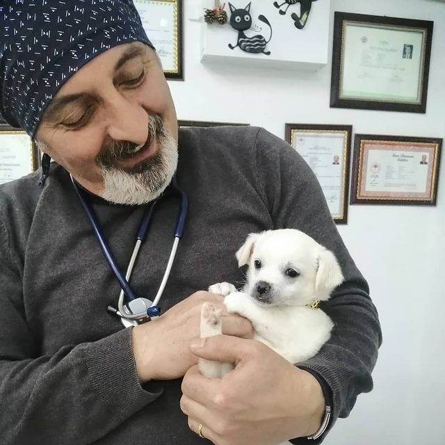Hakkımızda