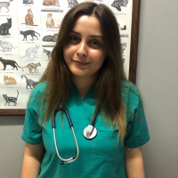 BEYZA ÜNSAL - STAJYER VET.HEKİM